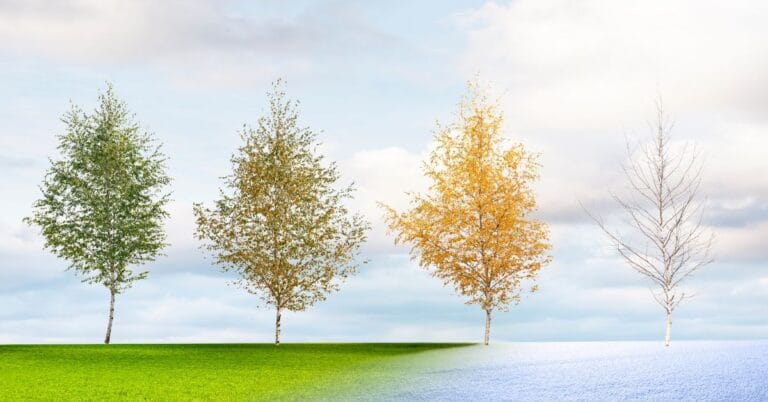 L’acupuncture pour minimiser les impacts des changements de saisons sur notre organisme