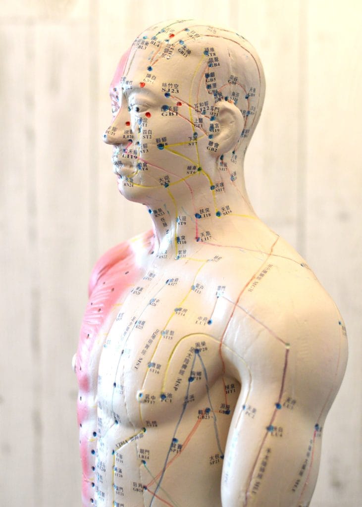 Modèle du corps humain représentant des points d'acupuncture et les méridiens.